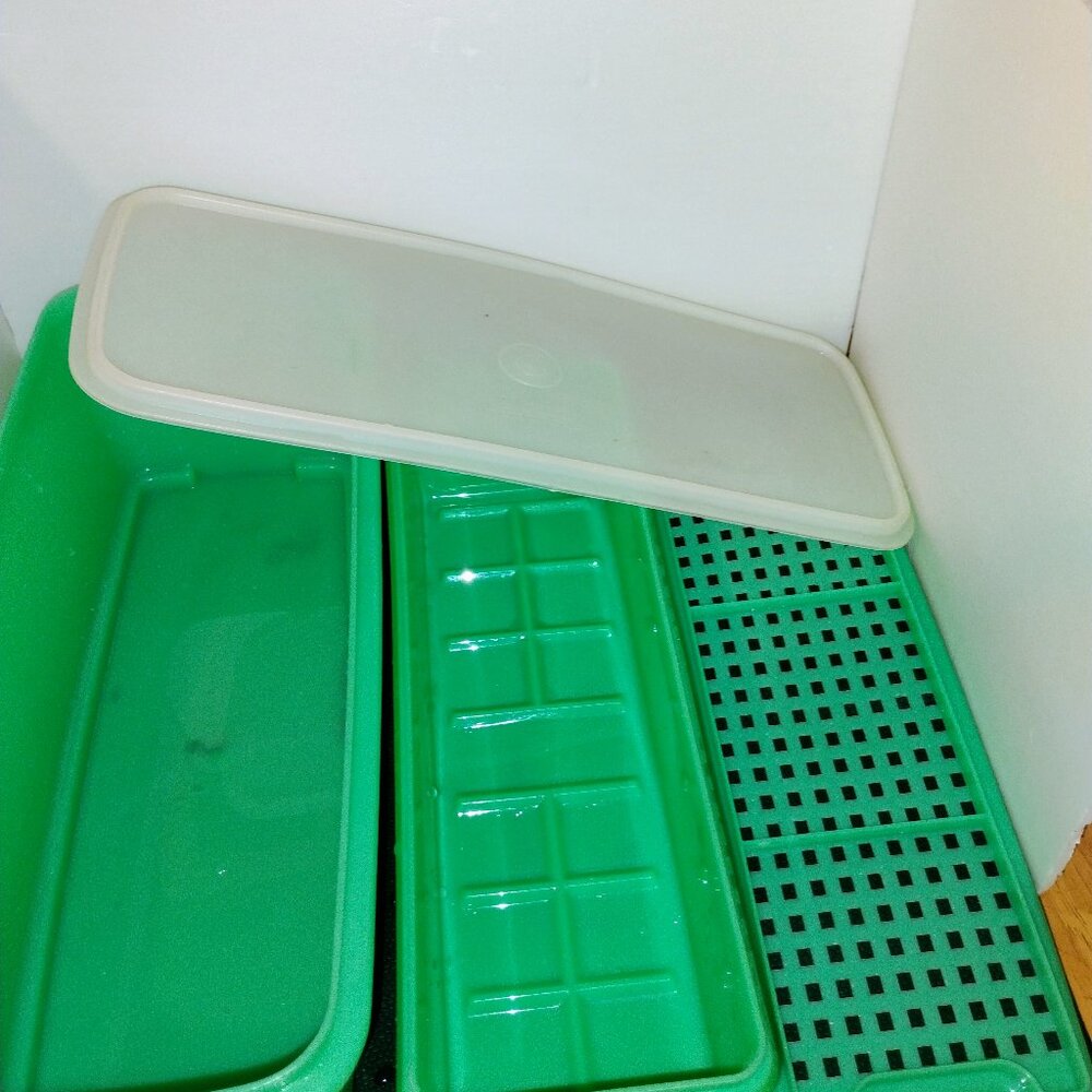 Tupperware celery keeper